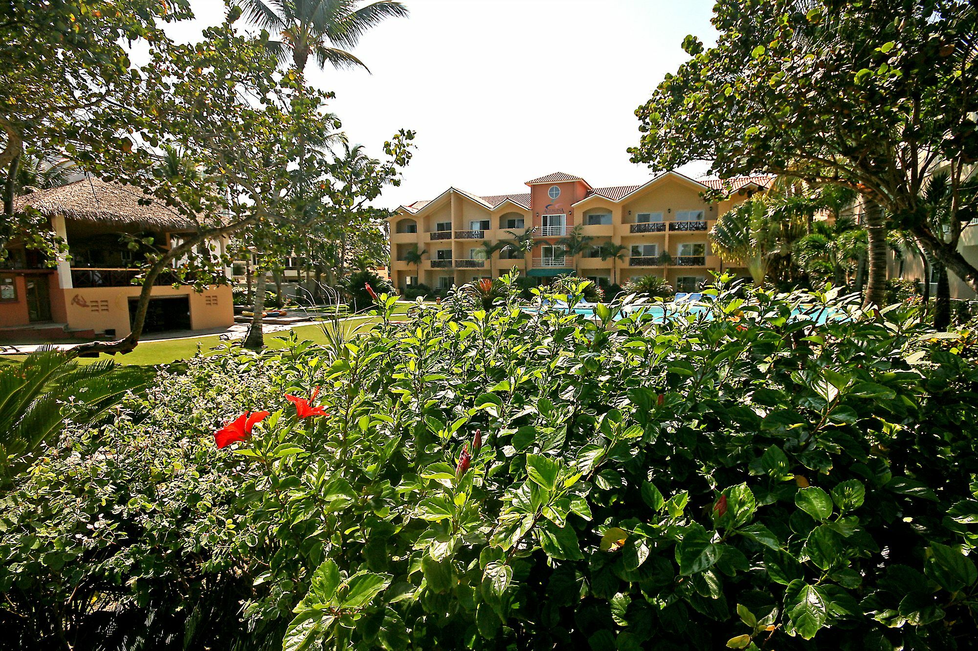 Agualina Kite Resort Cabarete Zewnętrze zdjęcie